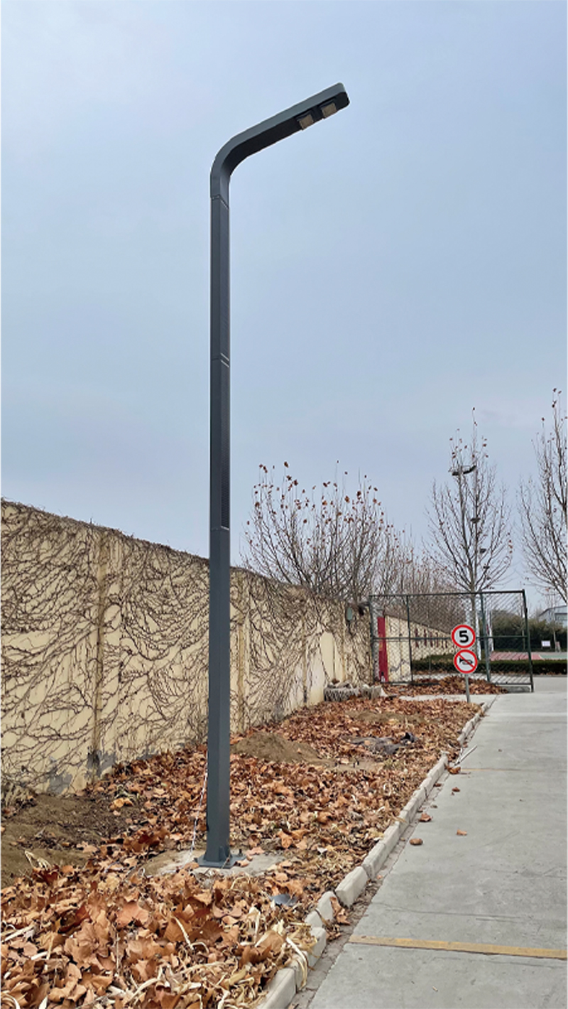 40W LED Solar Street Light With Solar Frame Wrap On Pole 2FSG066-NEWLIGHT ENERGY