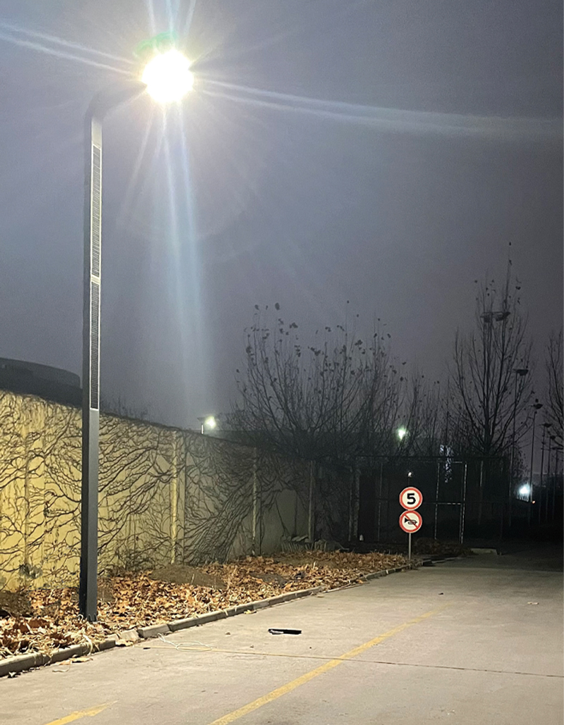 40W LED Solar Street Light With Solar Frame Wrap On Pole 2FSG066-NEWLIGHT ENERGY