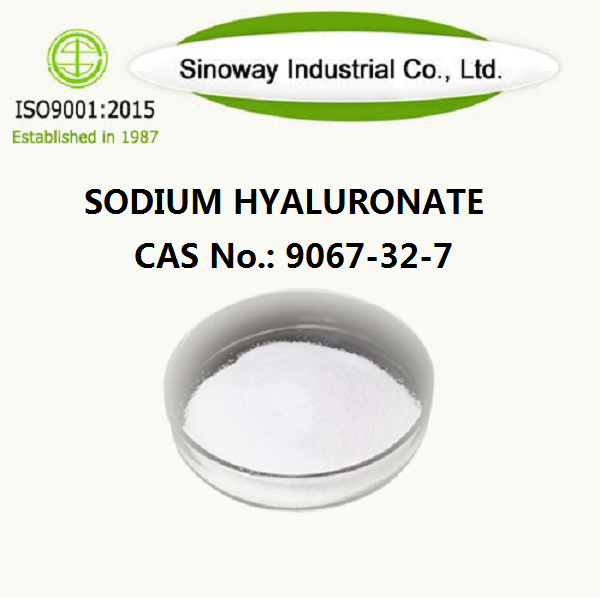 الصوديوم Hyaluronate 9067-32-7.