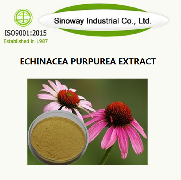 Echinacea Purpurea استخراج
