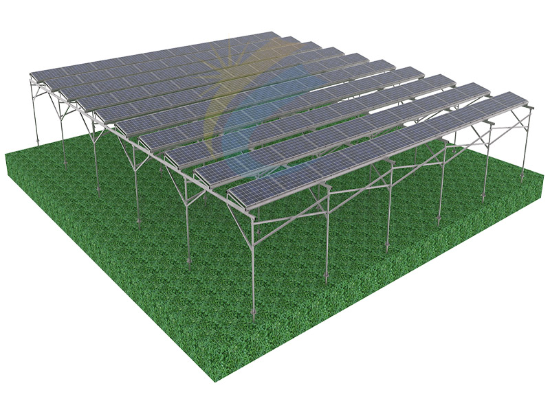 الزراعة الهيكل الشمسي الدفيئة