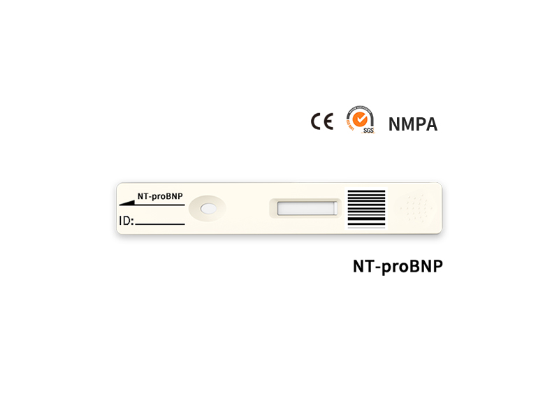 الاختبار الكمي السريع NT-PROBNP