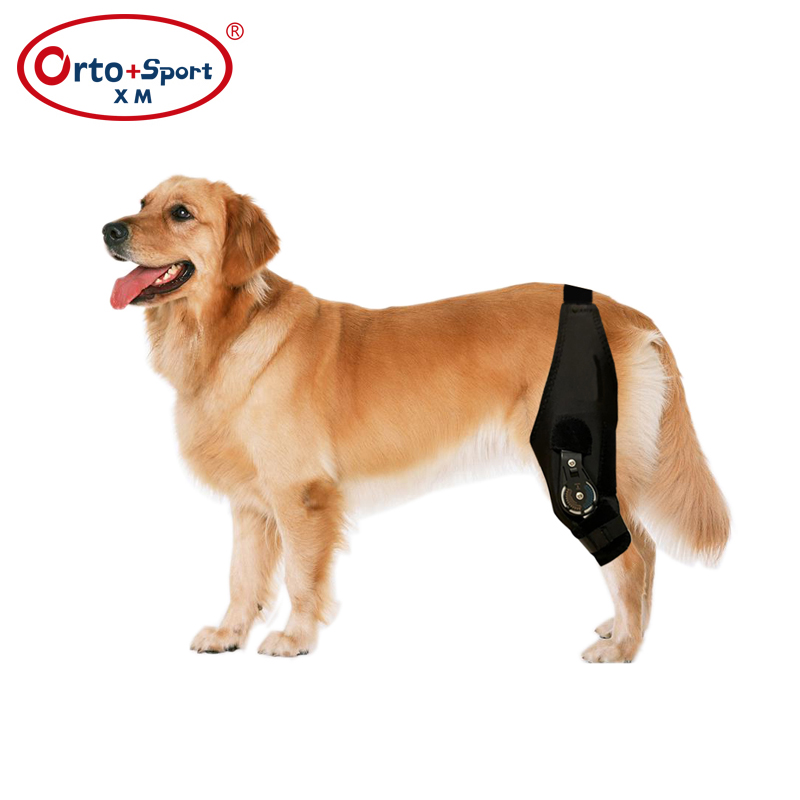 دعامة ركبة الكلب مع مثبت مفصلي ROM
